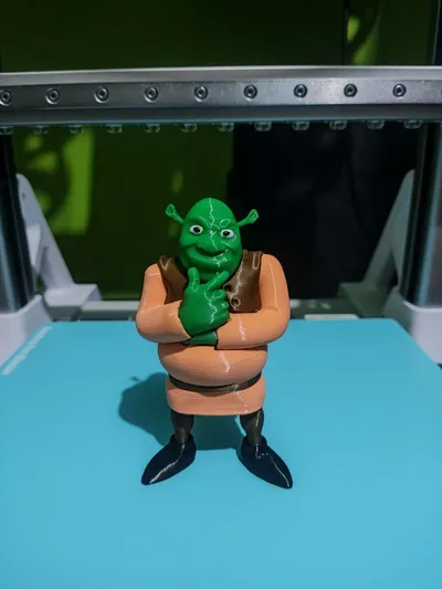 https://makerworld.bblmw.com/makerworld/model/1065932/1055004/ratings/dbad4410-942d-11f0-8f73-75b9b3d4e18a.jpg