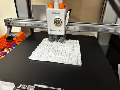 https://makerworld.bblmw.com/makerworld/model/1067312/1091564/ratings/df9069e0-aaa3-11f0-858e-7b8a63154b26.jpg