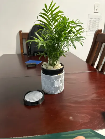 https://makerworld.bblmw.com/makerworld/model/1068431/1216654/ratings/05e3def0-951f-11f0-a322-49ce83b024b8.jpg