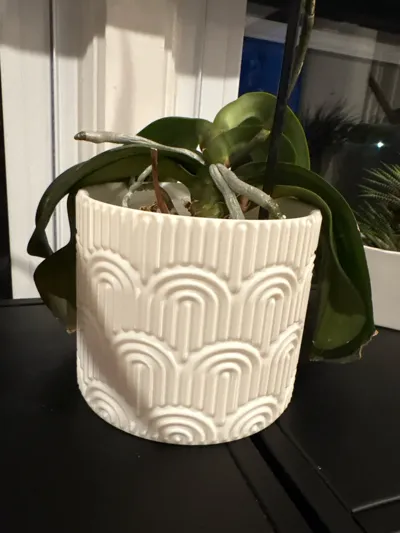 https://makerworld.bblmw.com/makerworld/model/1068431/1216654/ratings/d2a8cdf0-27d9-11f0-a061-35d467e59166.jpg