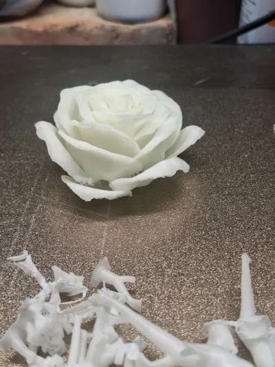 https://makerworld.bblmw.com/makerworld/model/1069127/1083213/ratings/9ced1a30-0ba1-11f0-a95a-f7d6cc135ba2.jpg