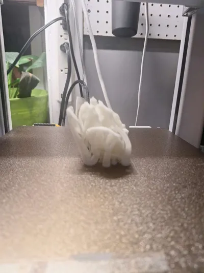 https://makerworld.bblmw.com/makerworld/model/1069127/1083213/ratings/9cff1b90-0ba1-11f0-a95a-f7d6cc135ba2.jpg
