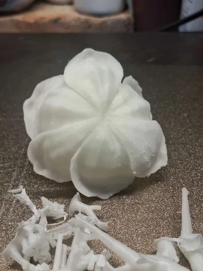 https://makerworld.bblmw.com/makerworld/model/1069127/1083213/ratings/9cffdee0-0ba1-11f0-a95a-f7d6cc135ba2.jpg