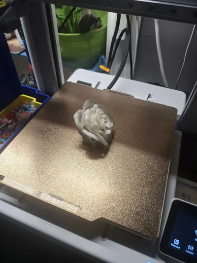 https://makerworld.bblmw.com/makerworld/model/1069127/1083213/ratings/9d036150-0ba1-11f0-a95a-f7d6cc135ba2.jpg