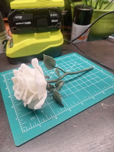 https://makerworld.bblmw.com/makerworld/model/1069127/1083213/ratings/9d055d20-0ba1-11f0-a95a-f7d6cc135ba2.jpg