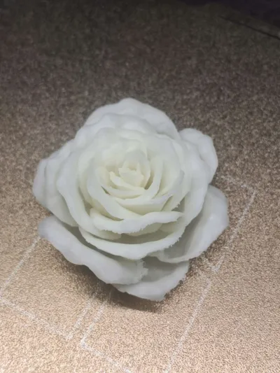 https://makerworld.bblmw.com/makerworld/model/1069127/1083213/ratings/9d1ab9e0-0ba1-11f0-a95a-f7d6cc135ba2.jpg