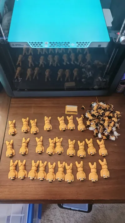 https://makerworld.bblmw.com/makerworld/model/1069803/1059472/ratings/4a68b5a0-d5f7-11f0-b4a5-7d6989badd07.jpg