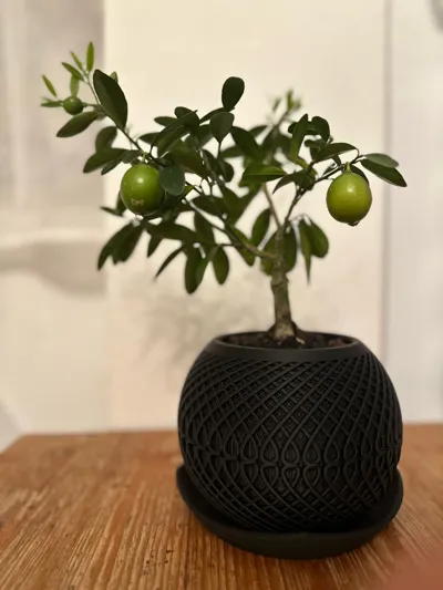 https://makerworld.bblmw.com/makerworld/model/1070011/1059722/ratings/b91dde10-0d81-11f0-9350-bb9d3fa3776c.jpg
