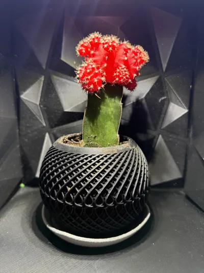 https://makerworld.bblmw.com/makerworld/model/1070011/1059738/ratings/c683e530-f7a2-11ef-9825-fdf46c3798af.jpg
