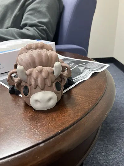 https://makerworld.bblmw.com/makerworld/model/1070204/1059922/ratings/a66295b0-0014-11f0-8f1a-ade54b110aa7.jpg