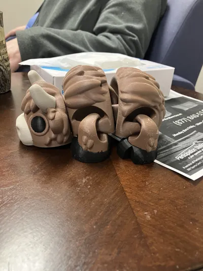 https://makerworld.bblmw.com/makerworld/model/1070204/1059922/ratings/a6644360-0014-11f0-8f1a-ade54b110aa7.jpg