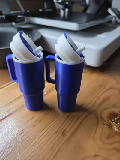 https://makerworld.bblmw.com/makerworld/model/1071708/1061720/ratings/c1c5ff80-c699-11f0-8e49-51b5fcb64f03.jpg