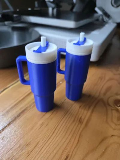 https://makerworld.bblmw.com/makerworld/model/1071708/1061720/ratings/c1caba70-c699-11f0-8e49-51b5fcb64f03.jpg