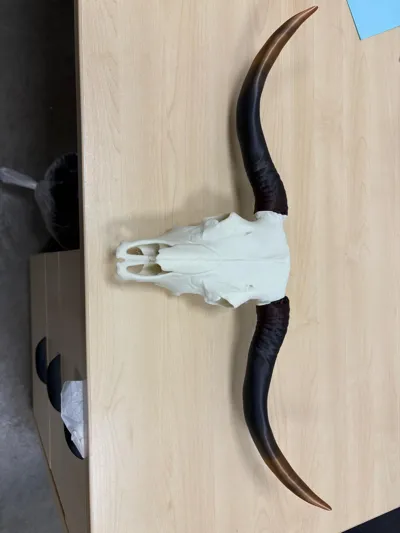 https://makerworld.bblmw.com/makerworld/model/1071711/1061748/ratings/bee6d780-0b64-11f0-8bec-a789c86a32ca.jpg