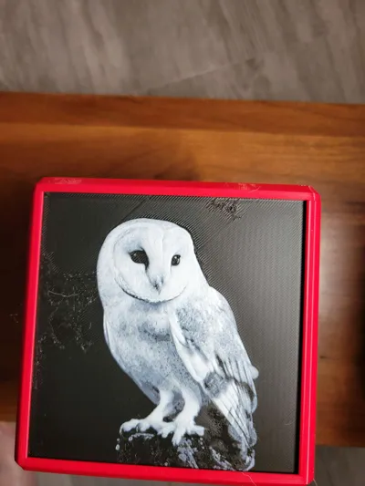 https://makerworld.bblmw.com/makerworld/model/1072606/1062806/ratings/dbb54cb0-d2de-11f0-b55b-c7e3268adca9.jpg