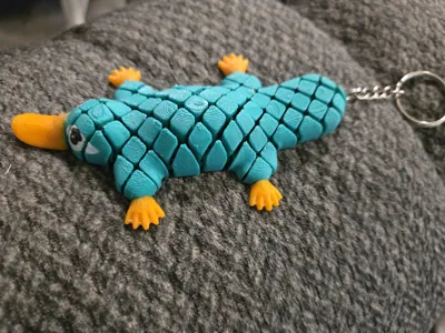 https://makerworld.bblmw.com/makerworld/model/1072920/1063202/ratings/ed930190-5e7e-11f0-8a1c-3b6d27dc778f.jpg