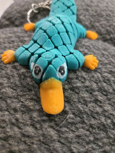 https://makerworld.bblmw.com/makerworld/model/1072920/1063202/ratings/eda0bd30-5e7e-11f0-8a1c-3b6d27dc778f.jpg