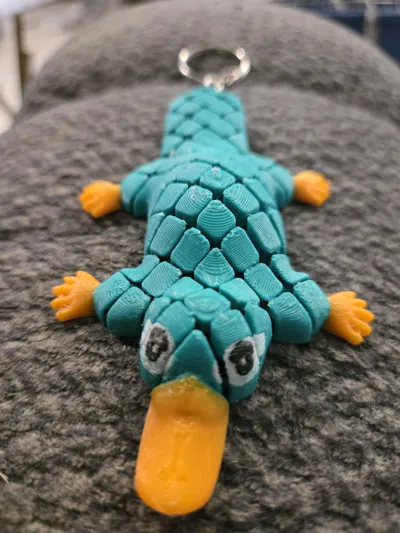 https://makerworld.bblmw.com/makerworld/model/1072920/1063202/ratings/eda15970-5e7e-11f0-8a1c-3b6d27dc778f.jpg