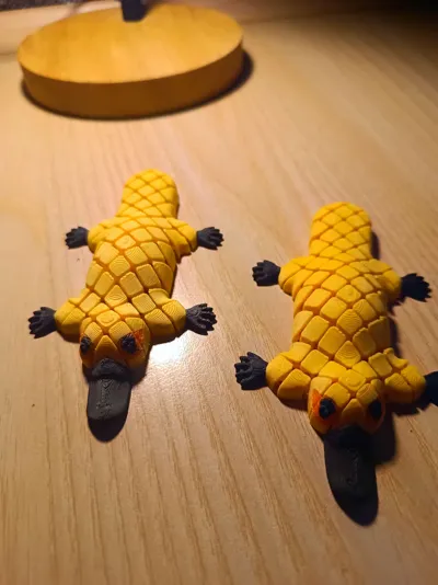 https://makerworld.bblmw.com/makerworld/model/1072920/1063209/ratings/1e1a1420-6a32-11f0-9237-63bdac8efbd8.jpg