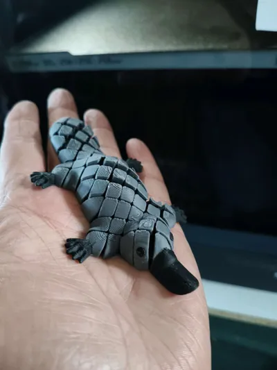 https://makerworld.bblmw.com/makerworld/model/1072920/1063209/ratings/5f4220c0-2dc2-11f0-bc34-0bcc29e9b33f.jpg