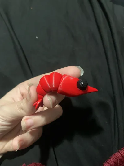 https://makerworld.bblmw.com/makerworld/model/1072924/1063215/ratings/707c94d0-3c48-11f0-be16-8b6ebbd7972b.jpg