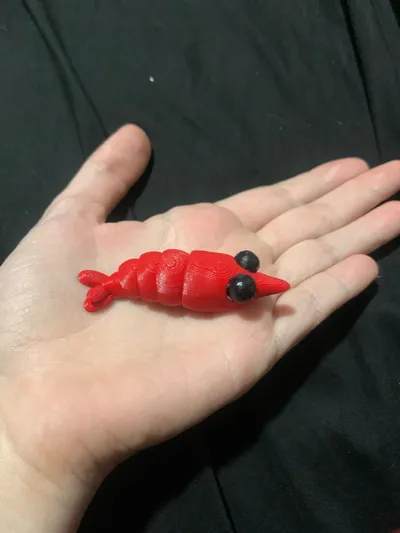 https://makerworld.bblmw.com/makerworld/model/1072924/1063215/ratings/708658d0-3c48-11f0-be16-8b6ebbd7972b.jpg
