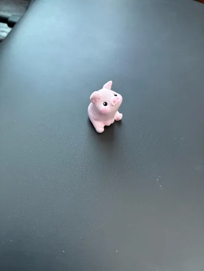 https://makerworld.bblmw.com/makerworld/model/1073044/1063966/ratings/614b35f0-e587-11f0-ae9e-4be25dc2307f.jpg