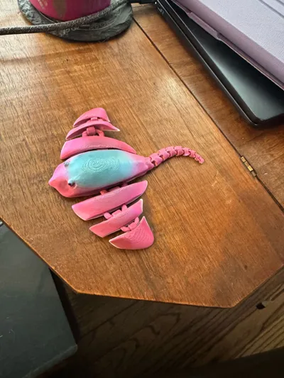 https://makerworld.bblmw.com/makerworld/model/1075100/1065709/ratings/44964c90-b776-11f0-abe0-095b1158385d.jpg