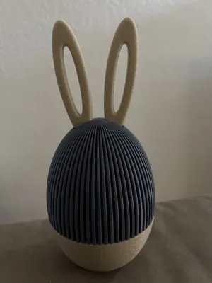 https://makerworld.bblmw.com/makerworld/model/1075595/1066288/ratings/75184710-f92b-11ef-8f86-a5b2a3f3d81e.jpg