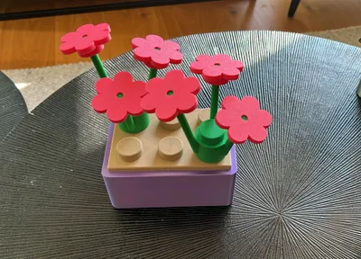 https://makerworld.bblmw.com/makerworld/model/1076048/1066856/ratings/4bd1c420-6ec0-11f0-9b93-3f7ba4feb545.jpg