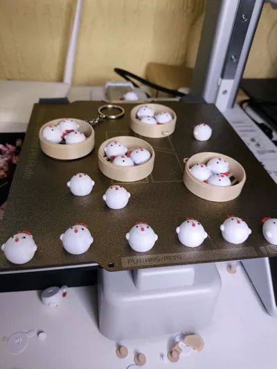 https://makerworld.bblmw.com/makerworld/model/1076115/1066944/ratings/0c8c2060-f4a0-11f0-b95a-c34017c9f4b1.jpg