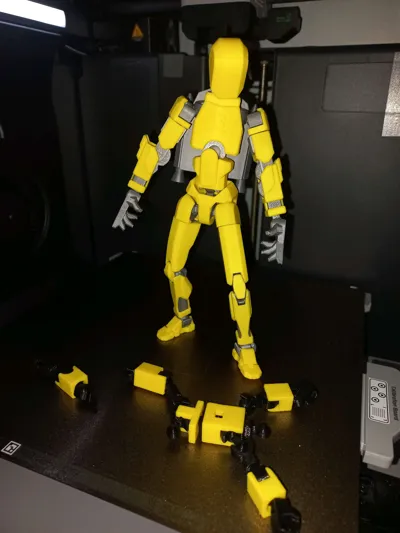 https://makerworld.bblmw.com/makerworld/model/1076707/1067663/ratings/43429d90-60bd-11f0-97bd-dfae6510ddbc.jpg