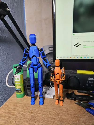 https://makerworld.bblmw.com/makerworld/model/1076707/1067663/ratings/cbb88530-ae11-11f0-ac6f-176c7947c5f8.jpg
