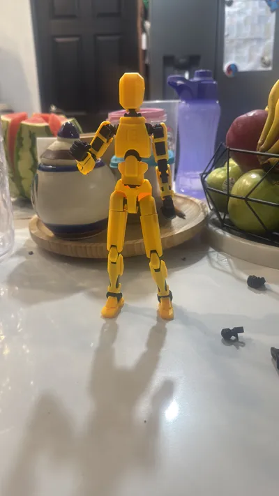 https://makerworld.bblmw.com/makerworld/model/1076707/1067663/ratings/d3a50c90-fa58-11ef-ba02-77b7ee8cdc0d.jpg