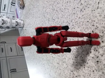 https://makerworld.bblmw.com/makerworld/model/1076707/1067663/ratings/f6dca8b0-a45f-11f0-9dba-4920b65af425.jpg