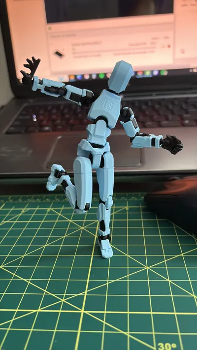 https://makerworld.bblmw.com/makerworld/model/1076707/1070481/ratings/5c7782e0-c09d-11f0-875d-970a70dfc091.jpg