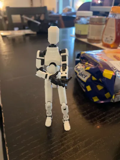 https://makerworld.bblmw.com/makerworld/model/1076707/1070481/ratings/c68ca110-32e5-11f0-a23f-c518326bfe17.jpg