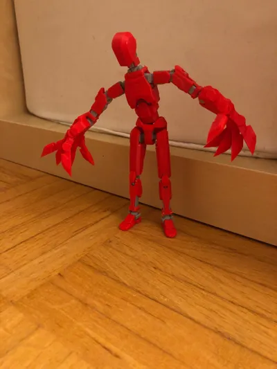 https://makerworld.bblmw.com/makerworld/model/1076707/1070481/ratings/e1c83380-dd0e-11f0-826b-af8cc92ab552.jpg
