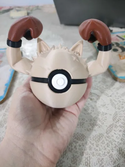 https://makerworld.bblmw.com/makerworld/model/1076717/1289606/ratings/03c59310-6fe1-11f0-9cac-25b4f5f65a42.jpg