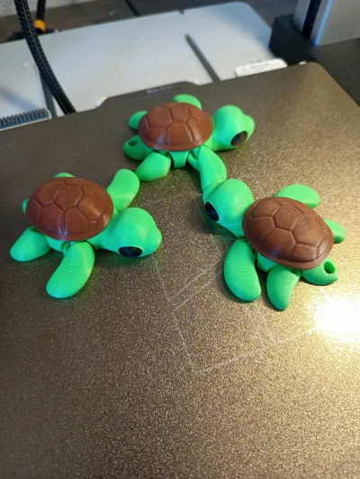 https://makerworld.bblmw.com/makerworld/model/1077393/1068452/ratings/c69edd40-12eb-11f0-ba6a-0bb378b07b63.jpg