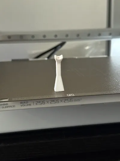 https://makerworld.bblmw.com/makerworld/model/1077456/1068522/ratings/c6859950-784b-11f0-a1eb-933f8e94f58c.jpg