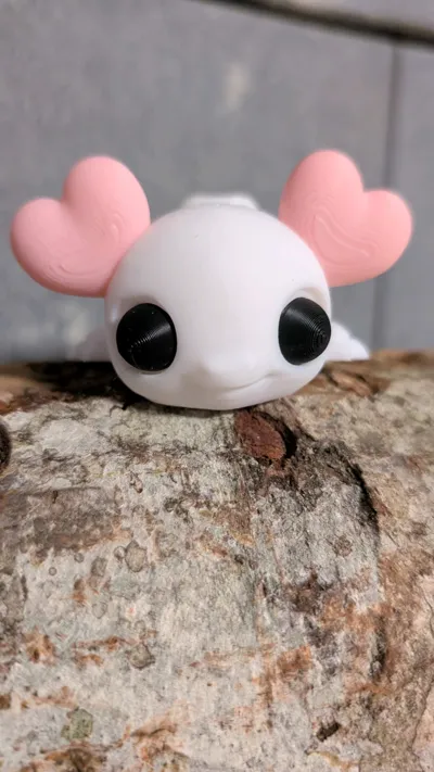 https://makerworld.bblmw.com/makerworld/model/1077694/1068839/ratings/28704ea0-f211-11f0-ad44-c9e9e9b57181.jpg