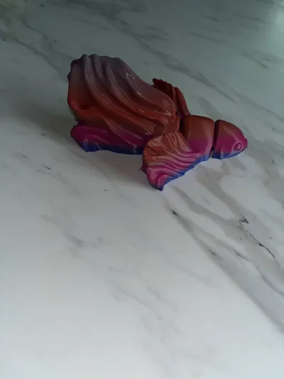 https://makerworld.bblmw.com/makerworld/model/1077718/1068846/ratings/dd169200-4bf5-11f0-91e5-4ba429d3cb1b.jpg