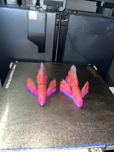 https://makerworld.bblmw.com/makerworld/model/1077718/1068846/ratings/dd2e5fc0-4bf5-11f0-91e5-4ba429d3cb1b.jpg