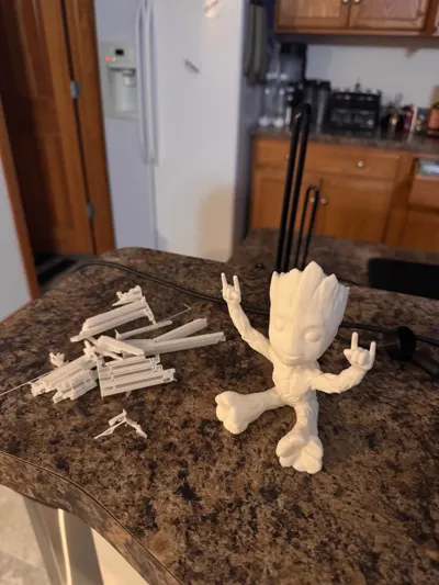 https://makerworld.bblmw.com/makerworld/model/1078478/1069783/ratings/3fbfc200-69c9-11f0-83bf-67c41b1204d3.jpg