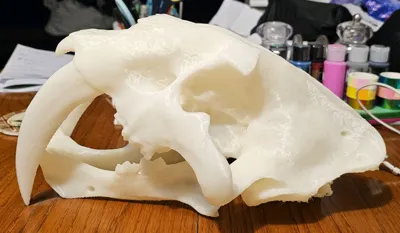 https://makerworld.bblmw.com/makerworld/model/1078704/1070046/ratings/7aaba860-0fb6-11f0-ab05-4d6db266533d.jpg