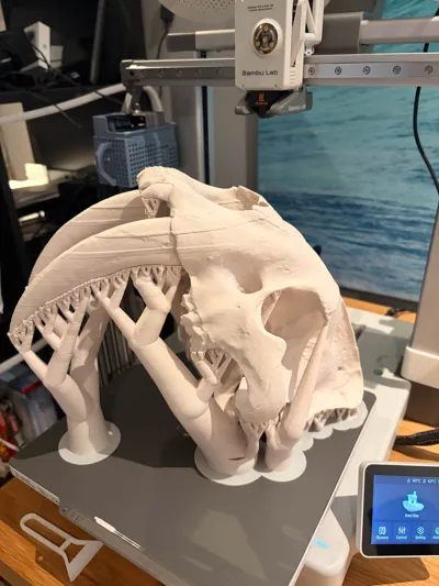 https://makerworld.bblmw.com/makerworld/model/1078704/1070046/ratings/fe676390-c2f5-11f0-975c-a715b7a481cd.jpg