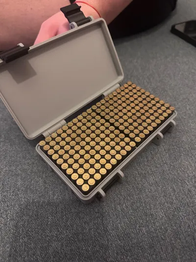 https://makerworld.bblmw.com/makerworld/model/1079063/1070459/ratings/683aa190-f7f0-11f0-96ae-8b5e618a386d.jpg