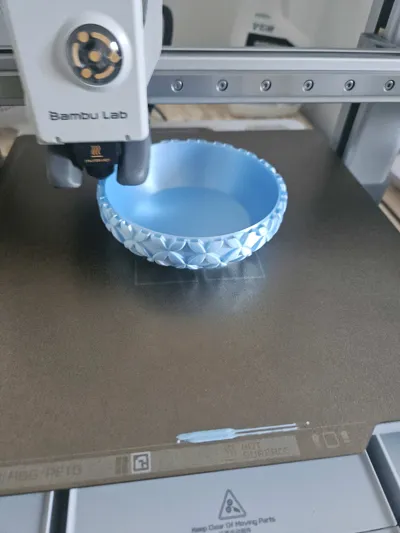https://makerworld.bblmw.com/makerworld/model/1079610/1071148/ratings/8a44ecc0-a4c9-11f0-90f5-2fd982f04fa3.jpg