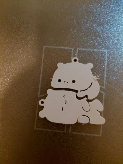 https://makerworld.bblmw.com/makerworld/model/1079858/1071419/ratings/28749500-f42d-11f0-b9da-b7d838764faf.jpg